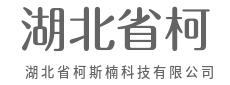 硬核技术筑底气，数字浪潮启新篇-重庆柯维简科技有限公司